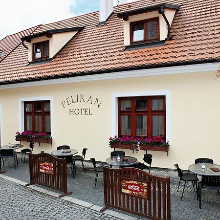 Hotel Pelikan Trebon Bagian luar foto